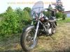 Honda_VT_125_C_SHADOW_JC29_schwarz_Chopper-Scheibe_Sissy-Bar_-_wie_XL_125_V_JC32_Varadero_CA_125_Rebel_JC26_JC24_50.jpg