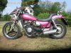 Kawasaki_ZL_600_A_Eliminator_brombeer_Chopper_Cruiser_-_wie_EL_250_252_ZL_900_1000_57.jpg