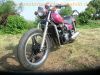 Kawasaki_ZL_600_A_Eliminator_brombeer_Chopper_Cruiser_-_wie_EL_250_252_ZL_900_1000_58.jpg