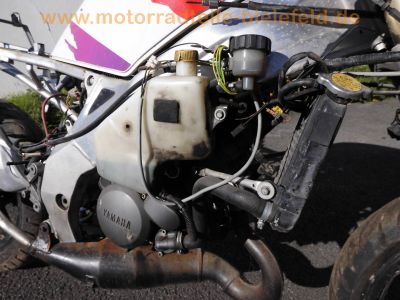 Yamaha_TZR_125_RR_Belgarda_4DL_Sturz_30PS_Motor_neu_-_wie_TZR_125_R_4FL_TDR_DT_125_R_109.jpg