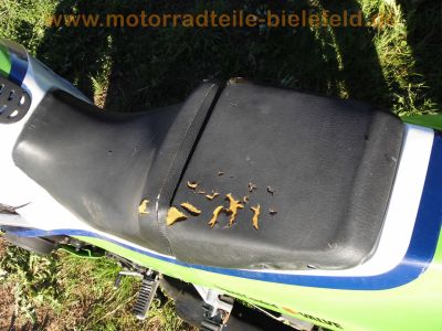 Kawasaki_GPZ_600_R_ZX600A_orig__weiss-gruen-blau_MRA_-_wie_ZX_GPX_600_750_R_B_C_40.jpg