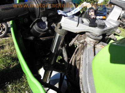 Kawasaki_GPZ_600_R_ZX600A_orig__weiss-gruen-blau_MRA_-_wie_ZX_GPX_600_750_R_B_C_47.jpg