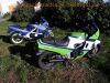 Kawasaki_GPZ_600_R_ZX600A_orig__weiss-gruen-blau_MRA_-_wie_ZX_GPX_600_750_R_B_C_2.jpg