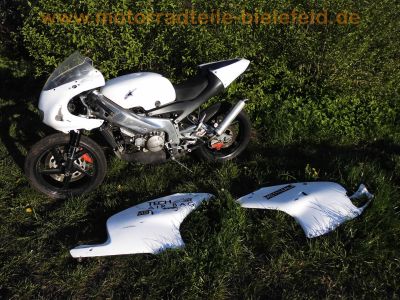 Aprilia_RS_125_mit_Rotax_122_123_offen_21kW_-_wie_AF1_Aprilia_Tuareg_Rally_125_5.jpg