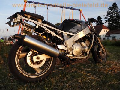 Yamaha_FZR_600_Genesis_3HE_Sturz_Do-Sw_Oel-_Wasser-Kuehlung_32.jpg