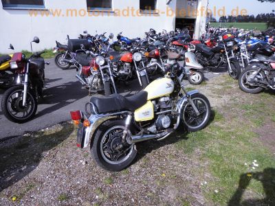 Yamaha_FZR_600_Genesis_3HE_Sturz_Do-Sw_Oel-_Wasser-Kuehlung_90.jpg