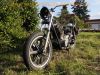 Yamaha_XS_650_SE_3L1_1978_nackt_Softchopper_-_wie_US_Custom_4G7_5E6_447_89.jpg