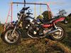 Yamaha_FZX_700_FAZER_1UG_Canada-Modell_Dragster_Muscle-Bike_-_wie_FZ_FZX_750_-_kleine_V-Max_1200_28.jpg