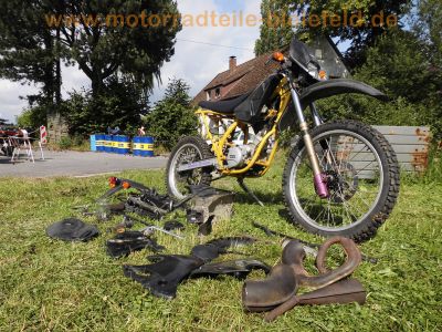 Sachs_Hercules_ZX_50_Enduro_Mokick_mit_Minarelli_AM5_Motor_-_wie_Aprilia_RX50_AM6_3.jpg