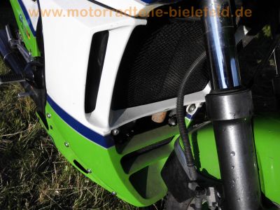 Kawasaki_GPZ_750_R_ZX750G_Extras_-_wie_ZX_GPZ_GPX_600_750_900_R_49.jpg