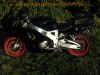 Honda_CBR_900_RR_Fireblade_SC28_Ur-Modell_schwarz_LSL-Lenkungsdämpfer_Sport-Auspuff_-_wie_SC33_45.jpg