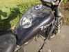 Honda_VT_700_C_RC19_Shadow_Custom_Chopper_-_wie_VT_750_C_RC14_RC29_VT_1100_C_SC18_SC23_120.jpg