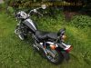 SYM_Husky_125_Chopper_schwarz_2x_Tacho_Motorschaden_sehr_gepflegt_63.jpg
