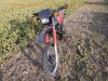 Honda_XL_500_R_PD02_rote_Sitzbank_ohne_Motor_Duplex-Bremse_-_wie_XL_250_350_500_600_R_S_MD03_MD_52.jpg