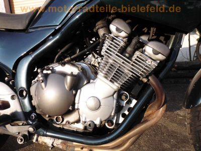 Yamaha_XJ_600_S_DIVERSION_gruen_mit_Gepaecktraeger_13.jpg