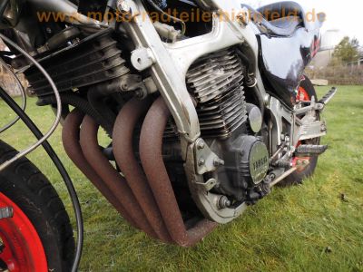 Yamaha_FJ1200_3CW_Superbike-Heck_mit_Sozius-Abdeckung_von_Wagner_Kunststofftechnik_DEVIL_4-1_Auspuff_-_wie_FJ_1100_47E_1XJ_3YA_100.jpg