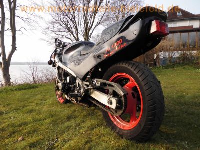 Yamaha_FJ1200_3CW_Superbike-Heck_mit_Sozius-Abdeckung_von_Wagner_Kunststofftechnik_DEVIL_4-1_Auspuff_-_wie_FJ_1100_47E_1XJ_3YA_78.jpg