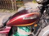 Kawasaki_KZ_Z_305_LTD_US-Chopper_weinrot_kurze_US-Fender_Speichenraeder_-_wie_EX_GPZ_Z_KZ_CSR_250_305_400_440_550_650_750_1000_E_J_LTD_73.jpg