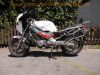 Honda_NTV_650_REVERE_RC33_Pichler_P1_Vollverkleidung_EXS_GIVI_Koffertraeger_Nonfango_Hecktraeger_mit_Topcase_Gepaecktraeger_Tank_versiegelt_114.jpg