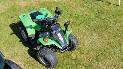 Kinder-Quads_1x_50ccm_Schaltgetriebe_mit_Fern-Sperre_und_2x_110ccm_Automatik_13.jpg