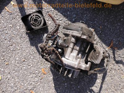 Pocketbike_Ersatzteile_Verkleidung_Motor_Zündung_4.jpg