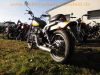 Aprilia_Classic_125_Chopper_Special_Edition_gelb-schwarz_ROTAX_123_-_wie_Aprilia_Red_Rose_50_125_Chopper_11.jpg
