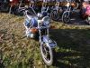 Honda_GL1100_SC02_Goldwing_blau_nackt_unverkleidet_Gepaecktraeger_-_wie_GL1000_GL1_GL2_GL1200_46.jpg