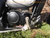 Gilera_Eaglet_50_Chopper_Typ_503_6-Gang_Schaltgetriebe_80kmh_75.jpg