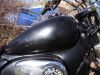 Gilera_Eaglet_50_Chopper_Typ_503_6-Gang_Schaltgetriebe_80kmh_77.jpg