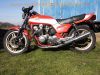 Honda_CB900F2_Boldor_original_rot-weiss_Vollverkleidung_4-2_Auspuff_HM438_37mm-Gabel_Doppelkolben-Bremsanlage_-_wie_CB_750_1100_F_RC04_SC09_SC05_SC08_SC11_81.jpg
