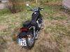 Kawasaki_EL252_Eliminator_EZ_1998_EL250F_Typ_EL250B_Chopper_Cruiser_30PS_Sturzbuegel_crash-bars_4.jpg