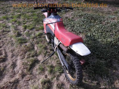 Fantic_Oasis_50_1_FM238_Enduro_Mokick_50kmh_Akront_Alu-Felgen_21x16_18x16_-_wie_Trial_50_Raider_50_1_Caballero_50RC_80RC_Koala_50_80_59.jpg