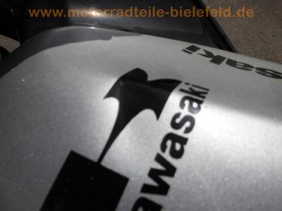 Kawasaki_ZZR600E_ZX600E_silber_1998_98PS_REMUS_4-1_Auspuff_3x_Stahlflex_Bremsleitung_29800_mls_62.jpg