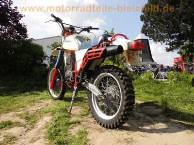 KTM_500_GS_500GS_Typ_506_ROTAX_Gelaendesport-Oldtimer_BJ_1983_SEBRING_Auspuff_e4_T8_fahrtwindgekuehlter_Einzylinder-Viertakt_Rotax-Motor_-_wie_MX_MC_Typ_504_Rotax_350_560_2.jpg