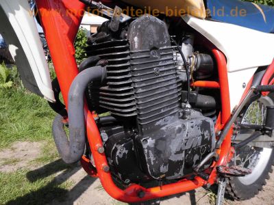 KTM_500_GS_500GS_Typ_506_ROTAX_Gelaendesport-Oldtimer_BJ_1983_SEBRING_Auspuff_e4_T8_fahrtwindgekuehlter_Einzylinder-Viertakt_Rotax-Motor_-_wie_MX_MC_Typ_504_Rotax_350_560_20.jpg