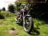 Suzuki_GN250_NJ25A_1994_Soft-Chopper_gesteppte_Sitzbank_original_Auspuff_3834_klassischer_Einzylinder_wie_DR250S_GN400_29.jpg