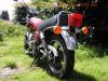 Suzuki_GN250_NJ25A_1994_Soft-Chopper_gesteppte_Sitzbank_original_Auspuff_3834_klassischer_Einzylinder_wie_DR250S_GN400_3.jpg