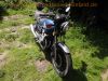 Suzuki_GSX_400_F_GS40XF_Katana_4-Zylinder4-1_Auspuff_-_wie_GS_GSX_250_400_500_550_750_D_E_39.jpg
