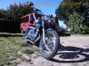 Yamaha_XV250_Virago_3LW_Chopper_gruen_HAGON_Federbeine_Sissy-Bar_Gepaecktraeger_-_wie_3LS_XV_125_535_750_5AJ_2YL_3BR_5G5_42.jpg