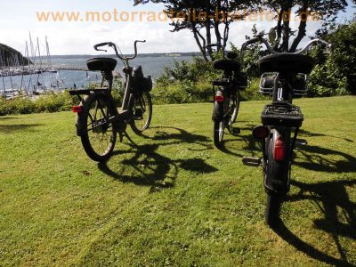 Velosolex_3800_2x_Solex_Fahrrad_mit_Hilfsmotor_Mofa_Oldtimer_Betriebserlaubnis_Papiere_15.jpg