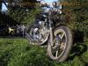 Yamaha_XV_750_Virago_4FY_Chopper_HM_deluxe_Gabel_Y11_Sissy-Bar_Satteltaschen_FALCON_Auspuffanlage_vorverlegte_Seeger_Fussrasten-Anlage_Lenkererhoehung_LEH_039_-_wie_5G5_XV_1100_1TE_50.jpg