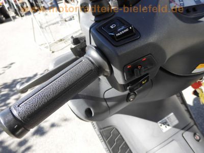 Honda_FES125_Pantheon_JF05_Touren-Roller_Scooter_silber-grau_Sturz_technisch_top_-_wie_FES150_78.jpg