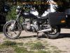 Kawasaki_KZ440_Z440_LTD_Belt-Drive_Krauser_Gepaecksystem_Sturzbuegel_rostig_Motor_laeuft_1.jpg