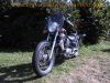 Yamaha_XV_535_VIRAGO_2YL_blau_Scheibe_Sissy-Bar_Packtaschen-Halter_-_wie_3BR_XV_125_250_500_750_3LS_4FY_5AJ_5G5_31.jpg