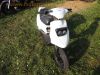 TGB_Pegasus_Sky_50_Roller_Scooter_weiss_AC_Morini_Motor_-_wie_Kreidler_RMC_50_E_TGB_Bullet_Hawk_CAGIVA_City_Progress_50_22.jpg