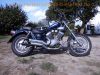 Yamaha_XV535_VIRAGO_3BR_blau_Windschild_Scheibe_Wildschaden_-_Technik_Motor_wie_2YL_3BT_4KU_4MC_40.jpg