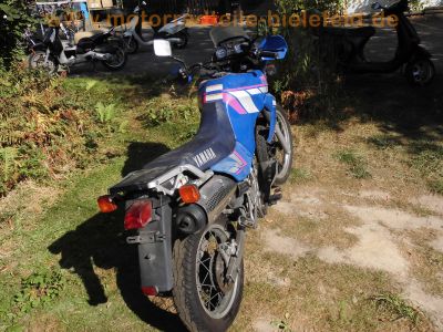 Yamaha_XTZ660_Tenere_3YF_blau_Teile_Ersatzteile_spares_spare-parts_-_wie_4BW_4MY_4NV_4NW_4MD_XTZ_750_3LD_39.jpg