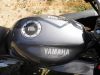 Yamaha_XJ600S_Diversion_4BR_silber-grau_Sturzschaden_Sturzbuegel_37.jpg