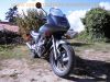 Yamaha_XJ600S_Diversion_4BR_silber-grau_Sturzschaden_Sturzbuegel_41.jpg