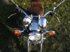 Yamaha_XV_750_Virago_4FY_Fell-Sitz_Sturzbuegel_Gepaecktraeger_Speichenraeder_-_wie_XV_1100_535_250_125_19.jpg